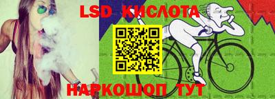 прущие грибы Гусев